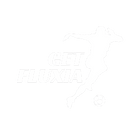Getfluxia